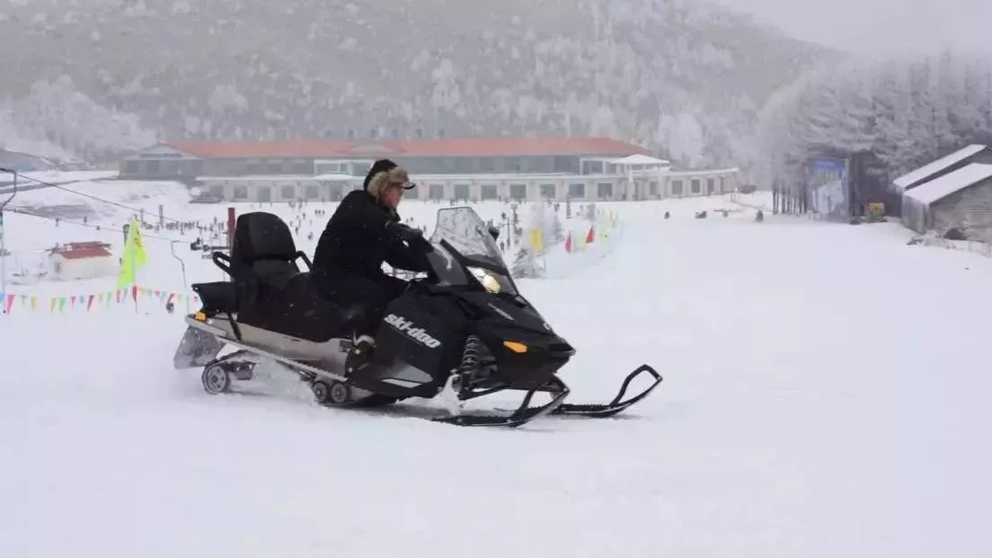 火狐电竞|学习宠物美容用度或许几多钱合适(图3) 火狐电竞官方网站