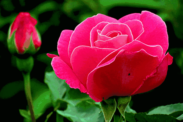 火狐电竞官方网站