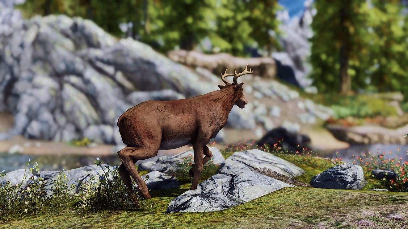 火狐电竞官网:重磅!“西北狼”确定递补中甲 新赛季目的全力保级(图4) 火狐电竞官网