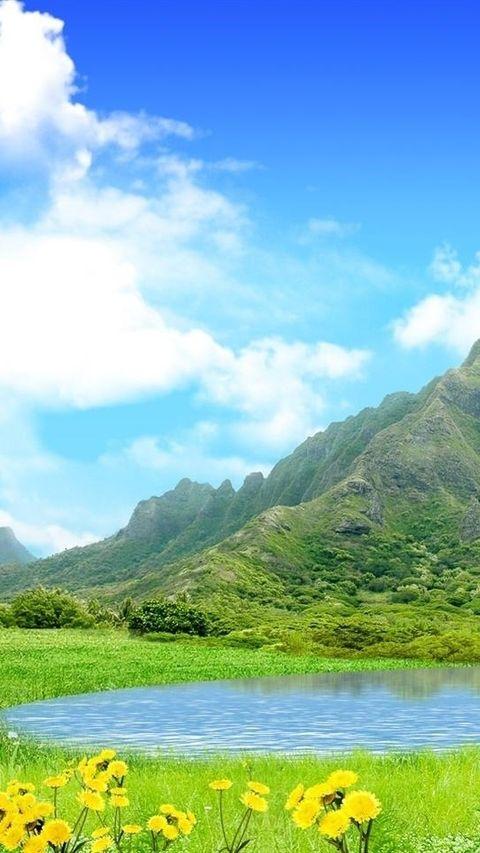 火狐电竞官方网站