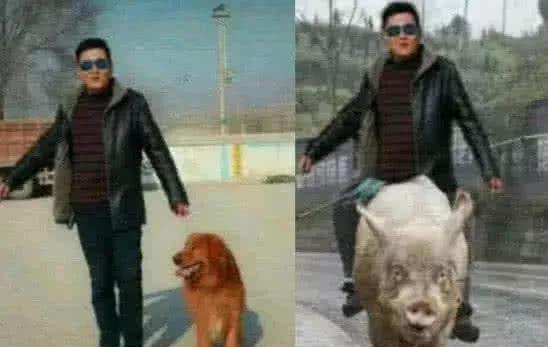 火狐电竞官方网站