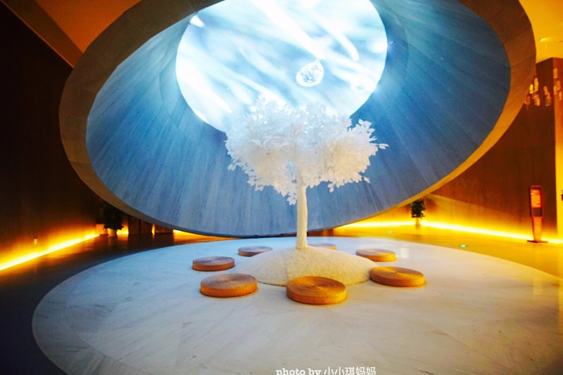 陕西首次举行乒球甲A联赛 我省女乒向冠军提倡打击-火狐电竞官网(图1) 火狐电竞