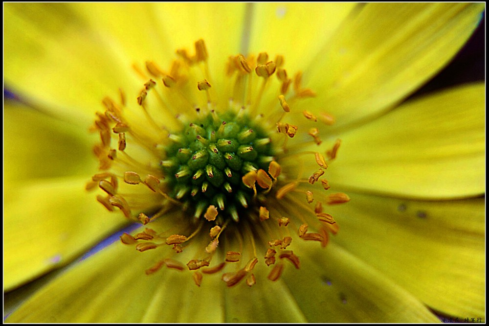 陕西首次举行乒球甲A联赛 我省女乒向冠军提倡打击-火狐电竞官网(图2) 火狐电竞