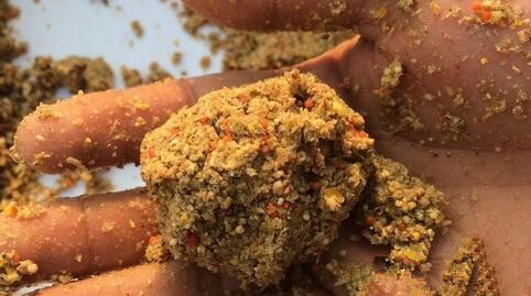 “火狐电竞”中欧教育合作开启华渔国际化布局更进一步(图2) 火狐电竞官方网站