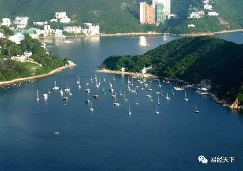 【火狐电竞官方网站】毛发移植技术成新热点(图4) 火狐电竞官网