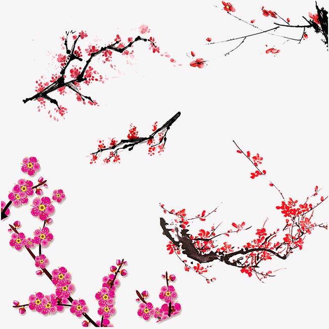 “火狐电竞官网”绿城0-1陕西输掉冲超关键之战 主帅:会坚持打传控(图2) 火狐电竞