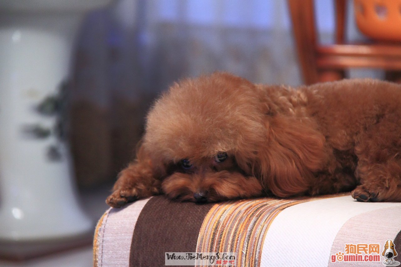 火狐电竞官方网站|中乙青岛中能宣布朱炯任主帅 已带队开始冬训(图2) 火狐电竞