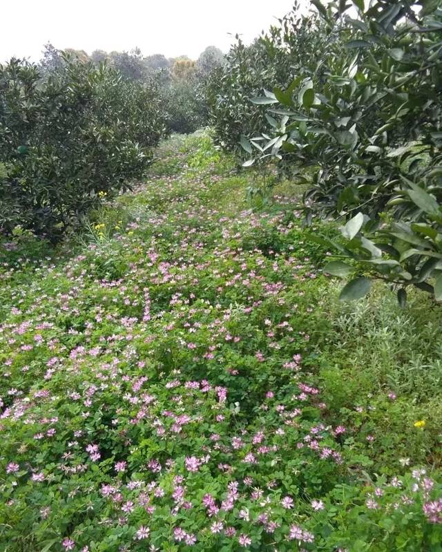 火狐电竞官方网站|中乙青岛中能宣布朱炯任主帅 已带队开始冬训(图1) 火狐电竞