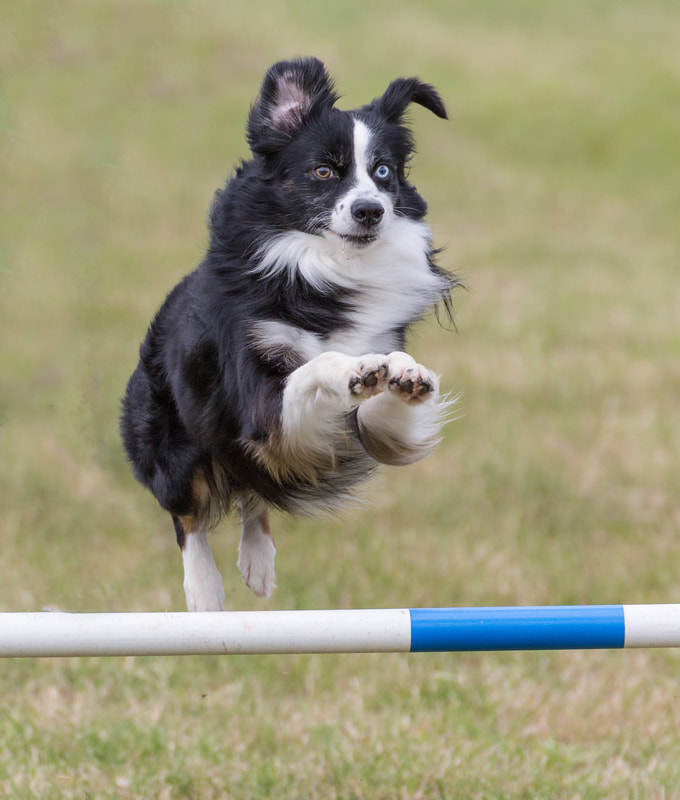 「中甲 10-08」赛事前瞻:辽宁沈阳都会 VS 贵州恒丰【火狐电竞官方网站】(图1) 火狐电竞官方网站