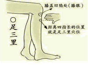 
便溏是什么意思？便溏是什么原因引起的？虚胖减肥有道：火狐电竞(图6)