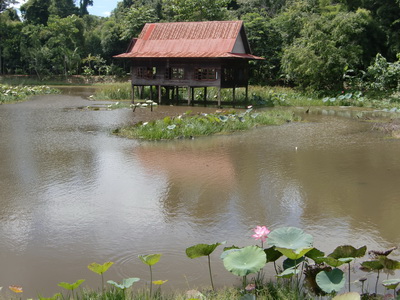 火狐电竞官方网站