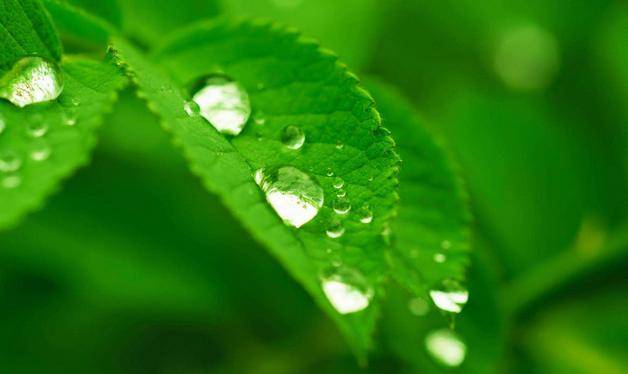 “火狐电竞官网”
10月20日(图2)