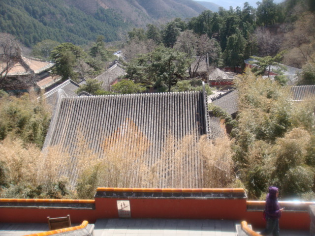 【火狐电竞官网】靓女过安检被堵?是因为圆脸整成锥子脸(图2) 火狐电竞