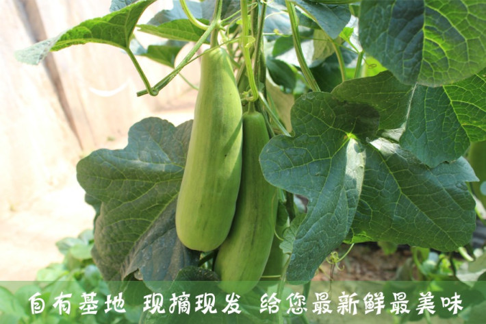 火狐电竞官方网站-谭龙高迪哑火,外援首球,亚泰1-1黑龙江,央视眼前略显尴尬(图1) 火狐电竞官方网站