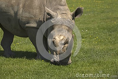 2020年中级会计结果什么时候宣布?可以申请结果复核?|火狐电竞官网(图4) 火狐电竞