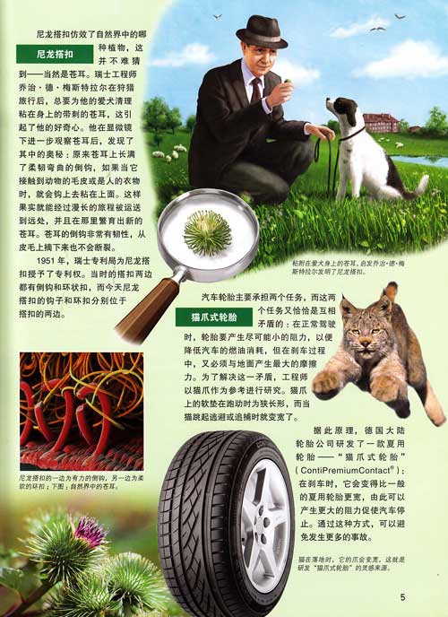 火狐电竞-「象甲」上海金外滩象棋队(图2) 火狐电竞